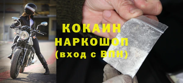 Альфа ПВП Бородино