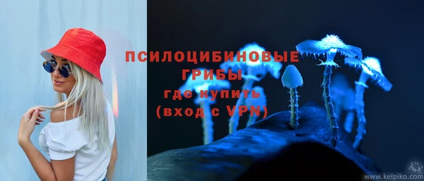 МДПВ Бугульма