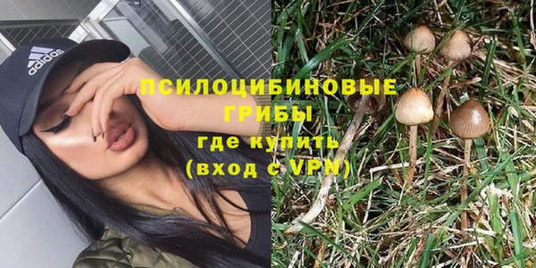 МДПВ Бугульма