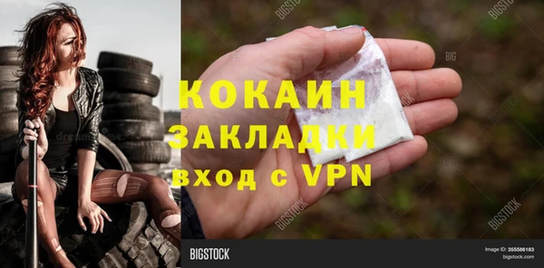 Альфа ПВП Бородино