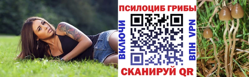 Псилоцибиновые грибы прущие грибы  Донской 